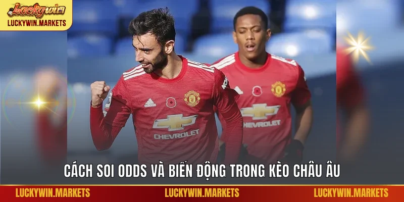 Cách soi odds và biến động trong kèo châu Âu