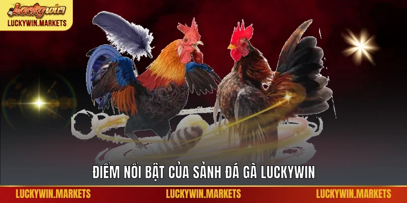 Điểm nổi bật của sảnh đá gà Luckywin