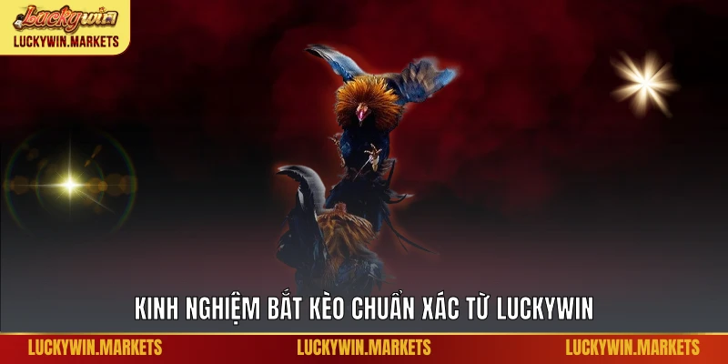 Kinh nghiệm bắt kèo chuẩn xác từ Luckywin
