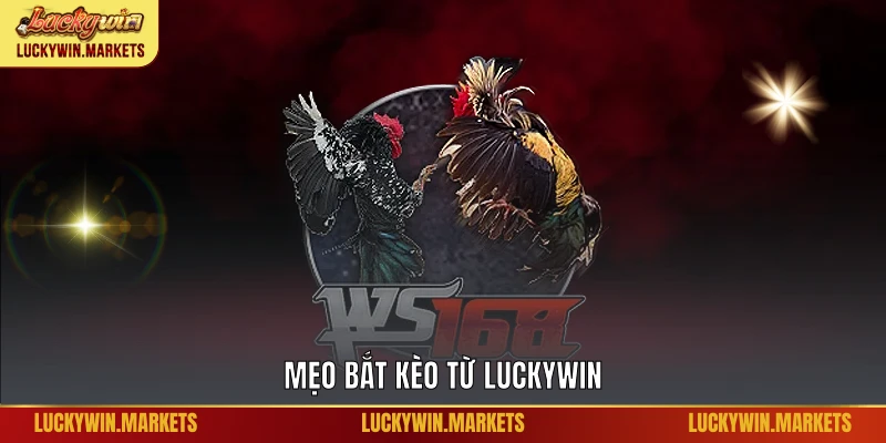 Mẹo bắt kèo từ Luckywin