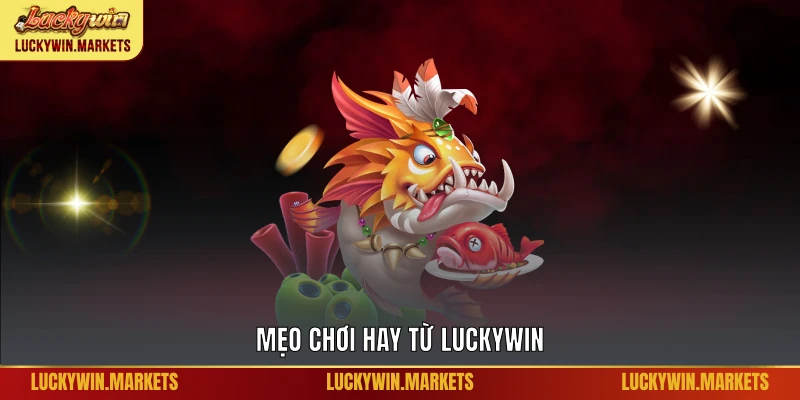 Mẹo chơi hay từ Luckywin