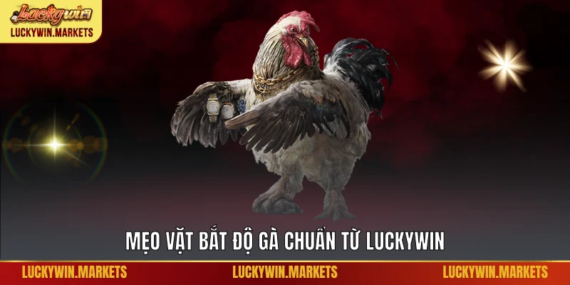Mẹo vặt bắt độ gà chuẩn từ Luckywin