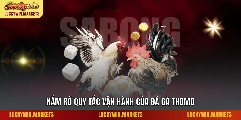 Nắm rõ quy tắc vận hành của đá gà Thomo