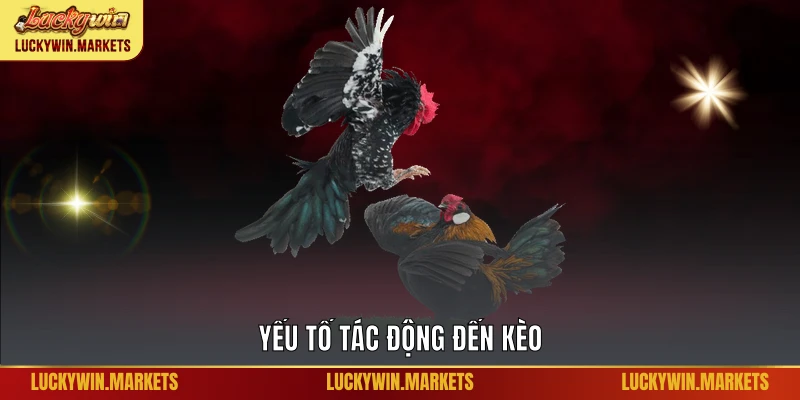 Yếu tố tác động đến kèo