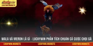 Wala và Meron là gì